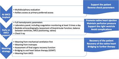 Prolonged Impella 5.0/5.5 support within different pathways of care for cardiogenic shock: the experience of a referral center
